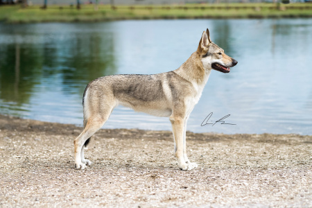 Xclusive Edition Malý Bysterec